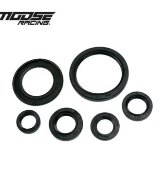 retenes-de-aceite-moose-racing-yfm-700-raptor